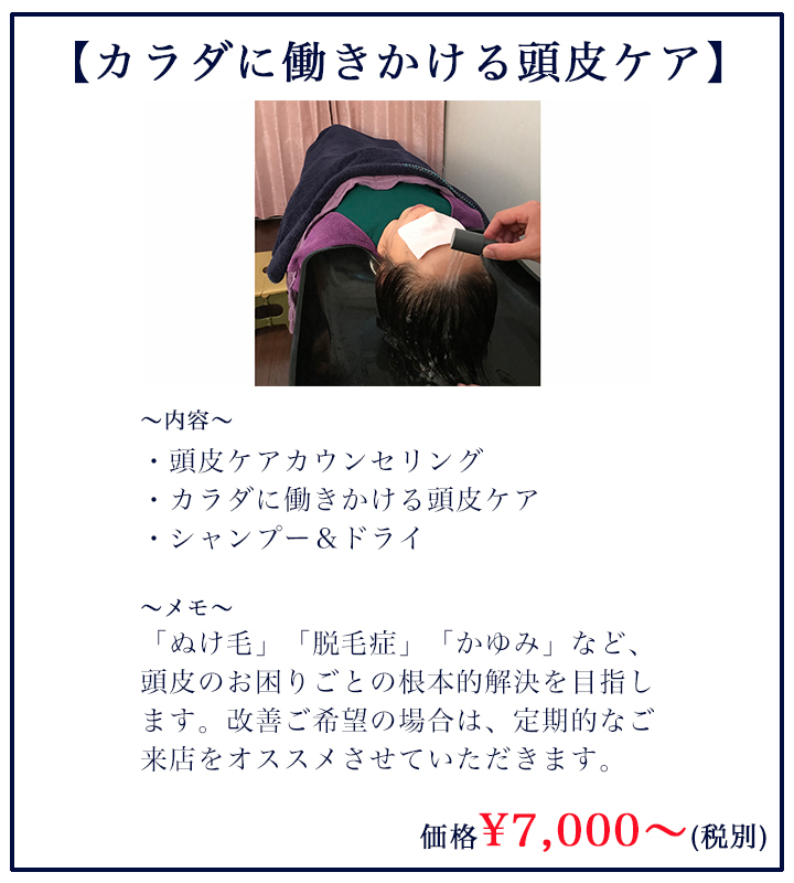 カラダに働きかける頭皮ケア¥7000(税別)〜